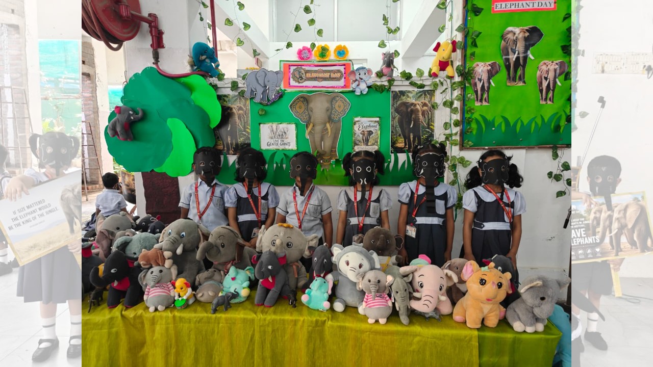 World Elephant Day Celebration
